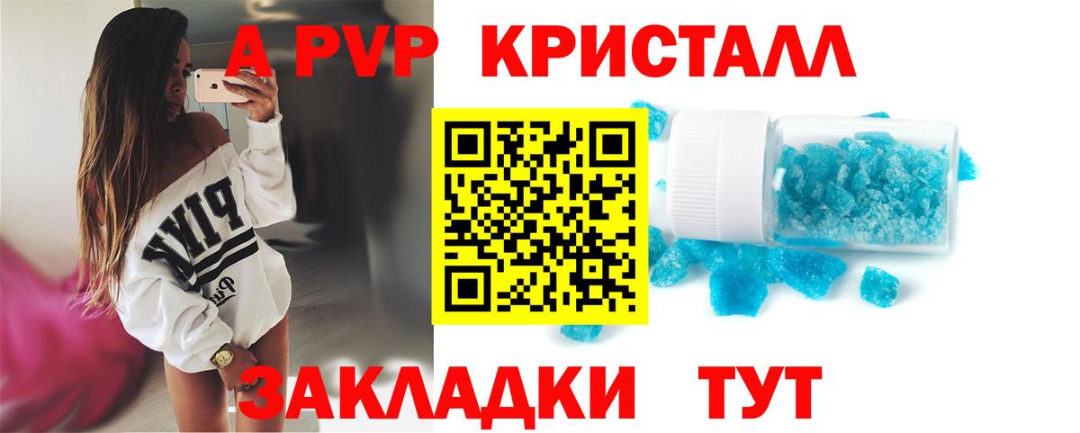 Alfa_PVP СК Калининград