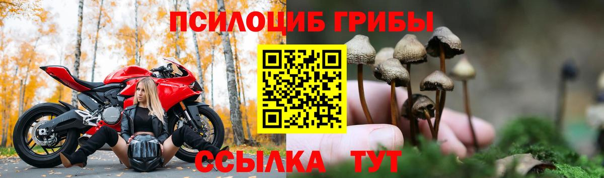 Калининград  Псилоцибиновые грибы Psilocybine cubensis  Галлюциногенные грибы GOLDEN TEACHER  Вход с VPN 